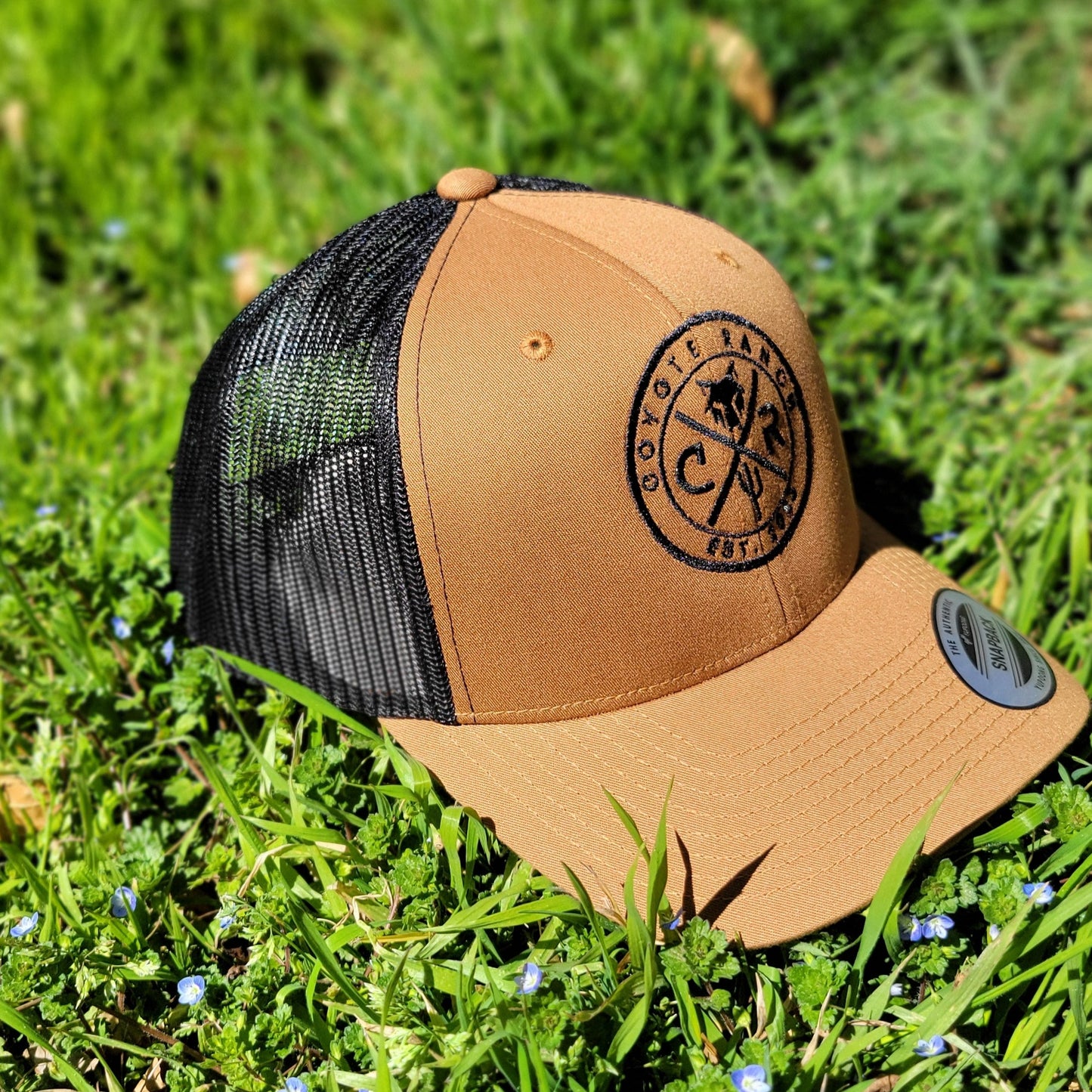 Brown CXR Cap