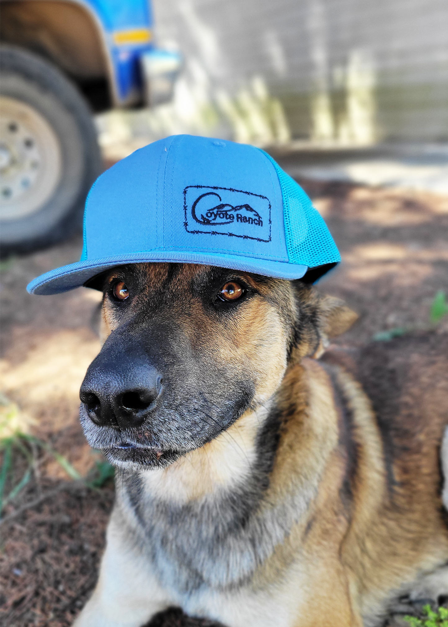 Barbed Coyote Ranch Cap